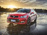   Holden      Commodore